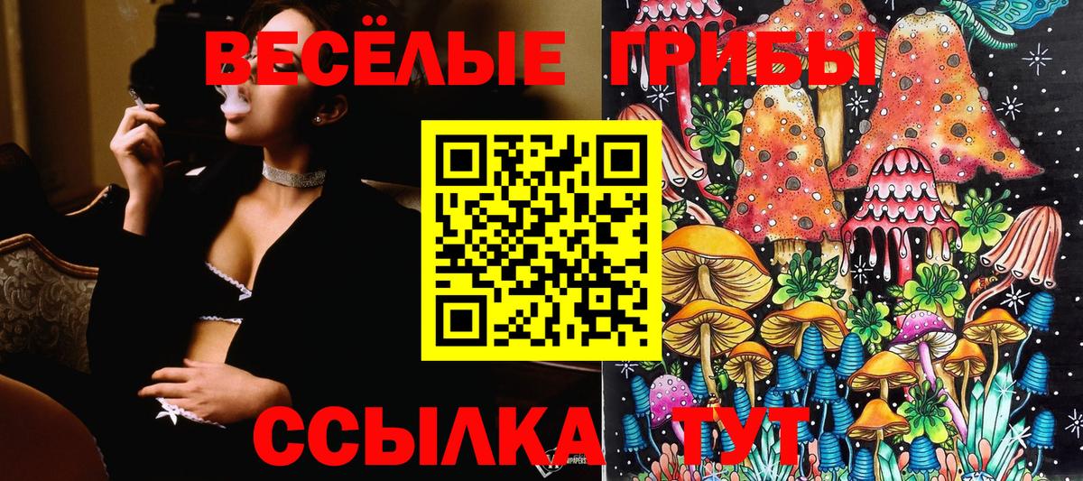 Галлюциногенные грибы прущие грибы  Вход с VPN  Галлюциногенные грибы мухоморы  Сосновый Бор 